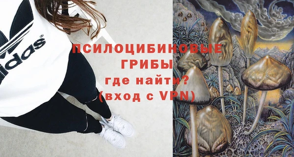 тгк Каменногорск