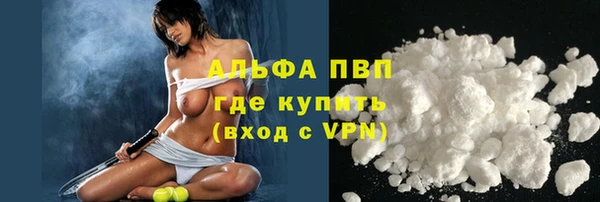 тгк Каменногорск