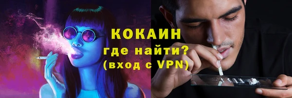 тгк Каменногорск