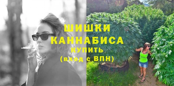 тгк Каменногорск