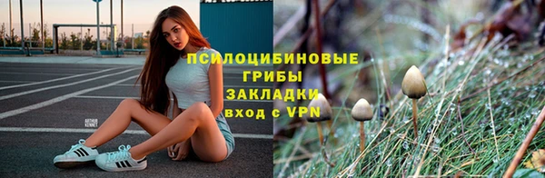 мескалин Каменка