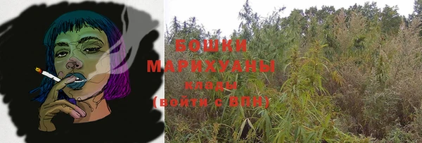 тгк Каменногорск