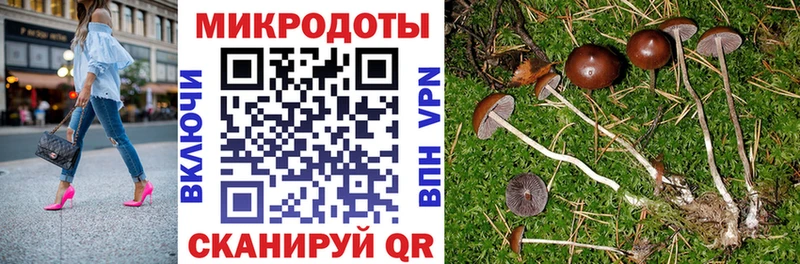 Псилоцибиновые грибы мухоморы Нижнекамск